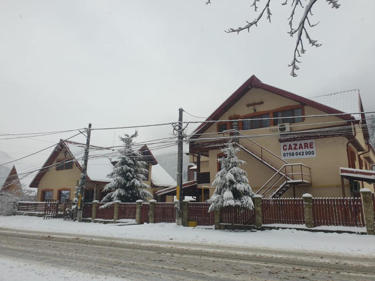 Pensiunea Luka Slanic Moldova Exterior photo