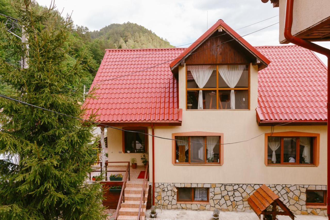 Pensiunea Luka Slanic Moldova Exterior photo